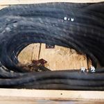 Content/listingImages/20260616/a035b733-1e0a-4f0b-8708-6bc0a1d3d9a0_thumbcrop.jpg